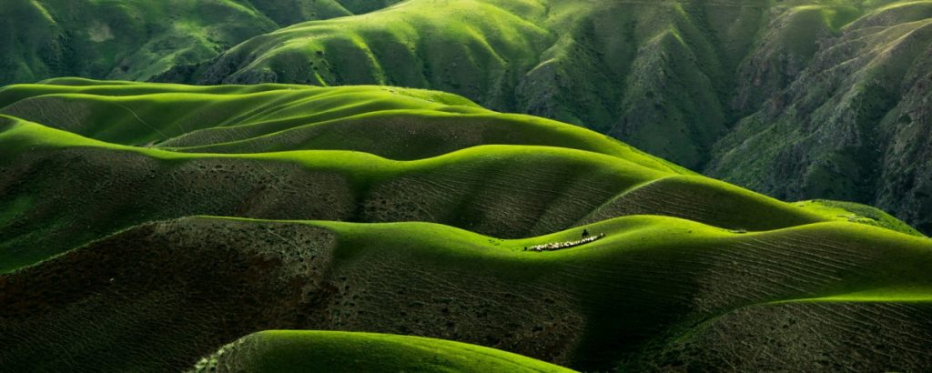 our services 1 our services 1